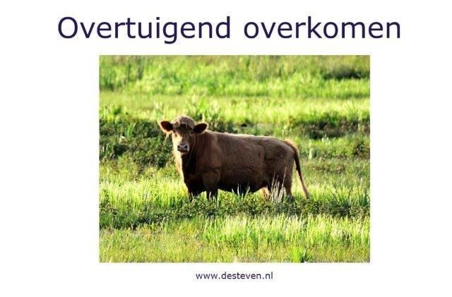 Overtuigingskracht ontwikkelen